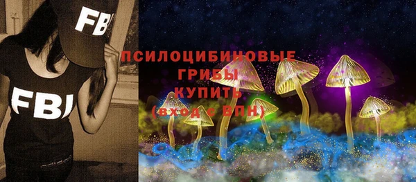 jwh Белокуриха