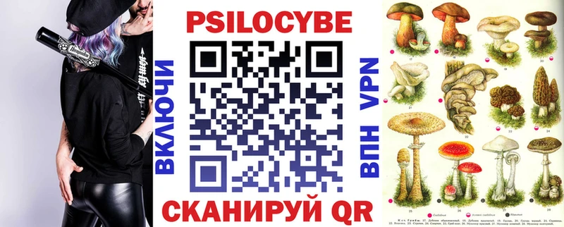Купить где  Вязьма  Псилоцибиновые грибы ЛСД 